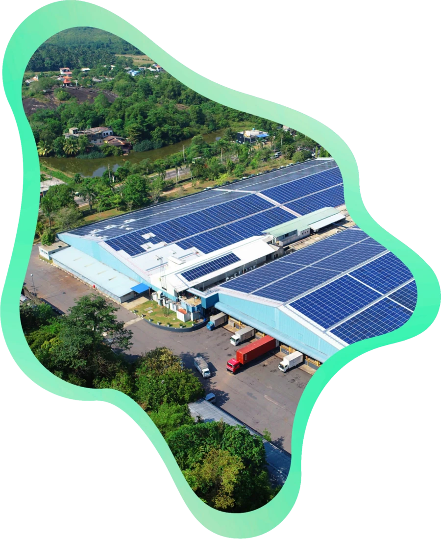 Aerial view of solar panels covering a MAS facility rooftop