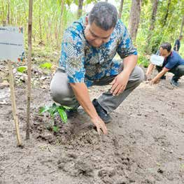 A person kneeling to plant a seedling in bare soil at the Central Java restoration site