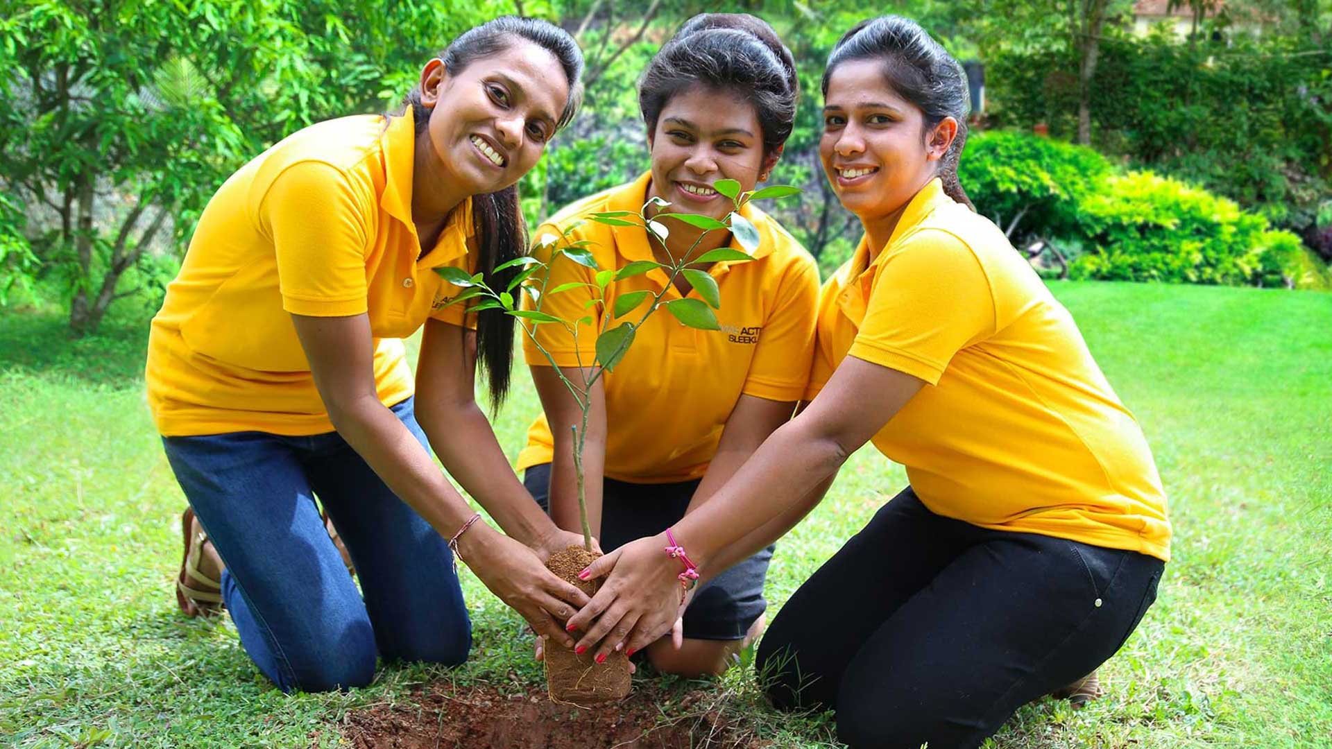 Womens tree plantation drive